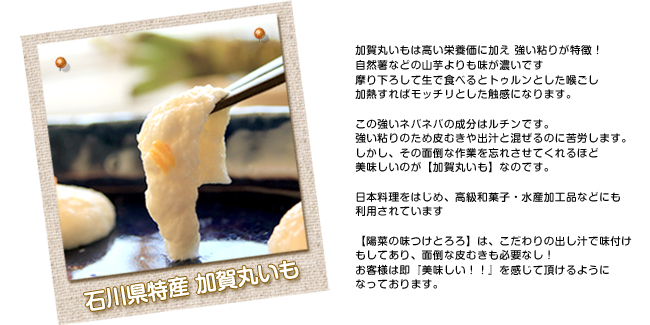 特徴